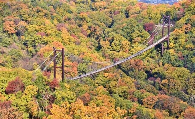 Hoshida Park in autumn