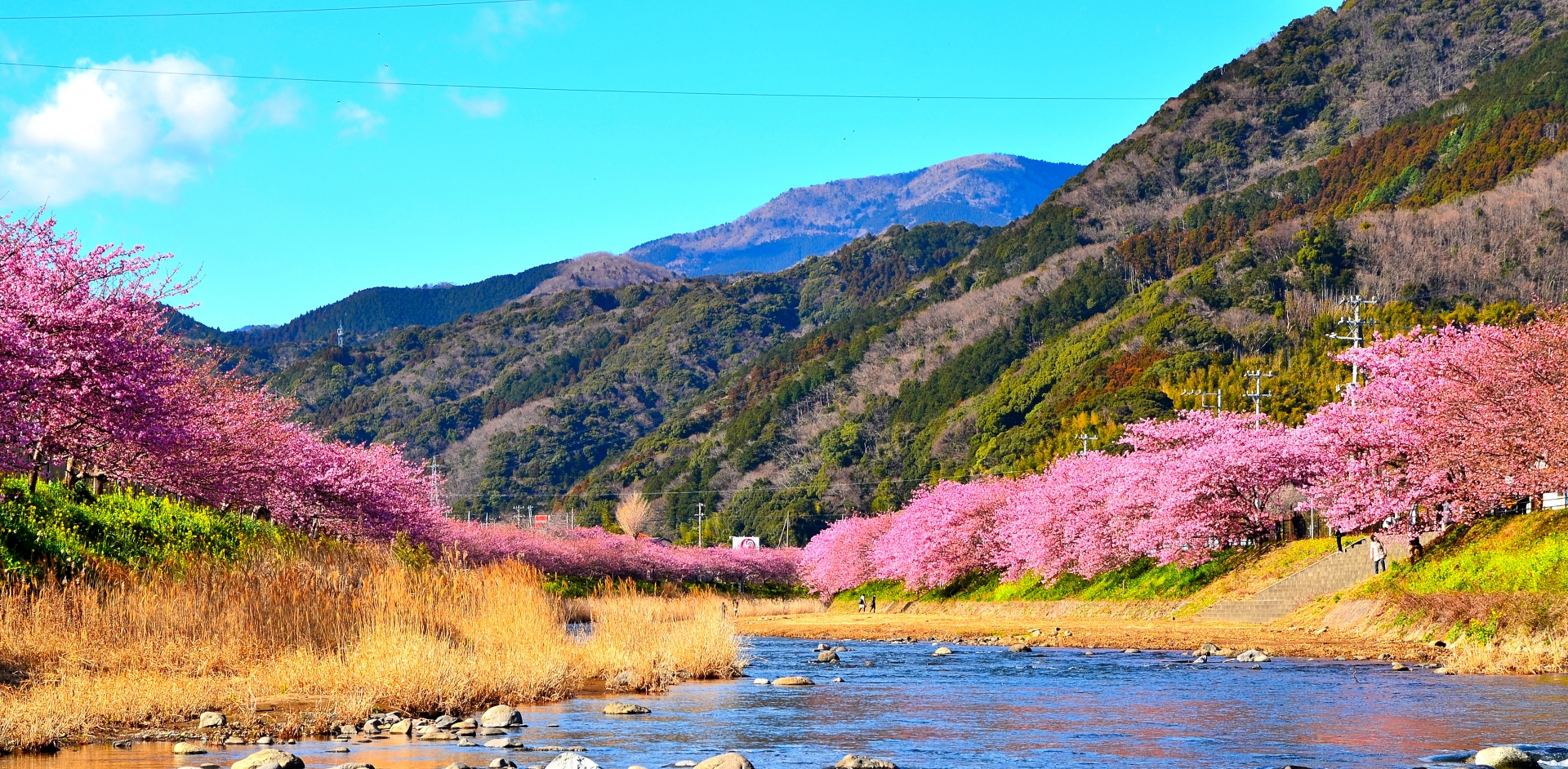 japan places to visit in february