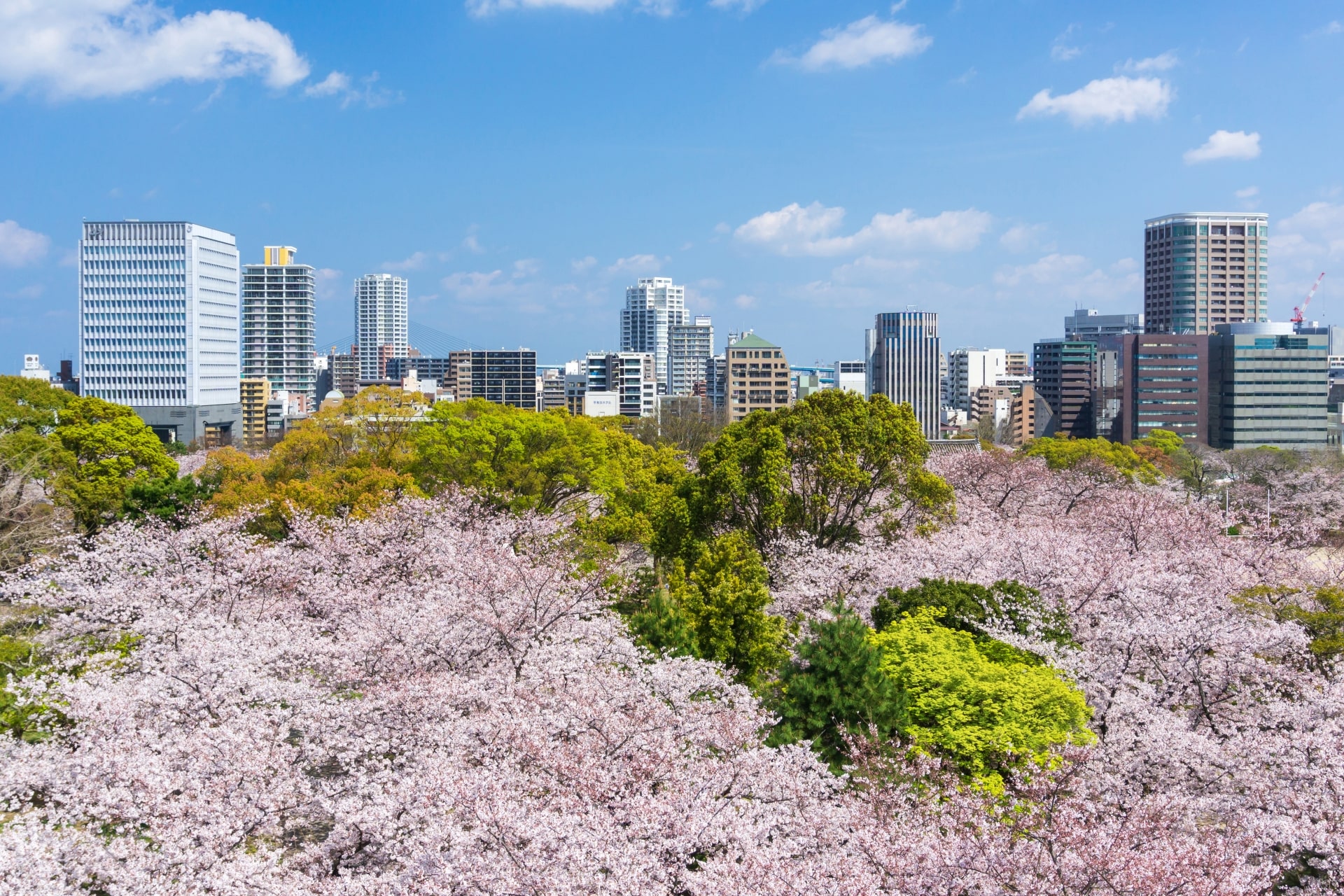 Maizuru Park, Fukuoka