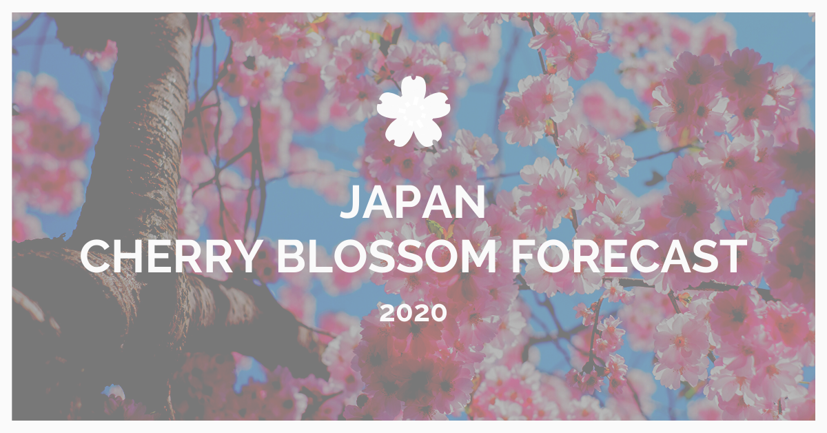 Japan Cherry Blossom Forecast 2020