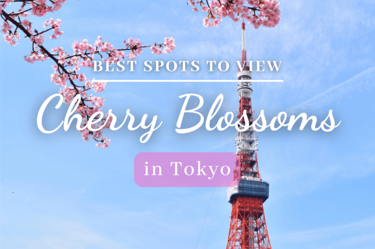 Best Places to See Cherry Blossoms in Tokyo