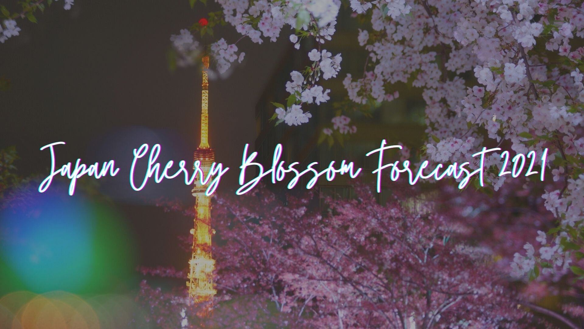 Japan Cherry Blossom Forecast 2021