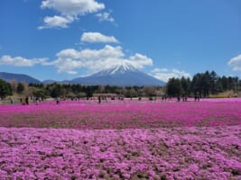 12 Best Things to Do in Tokyo in May - Japan Web Magazine