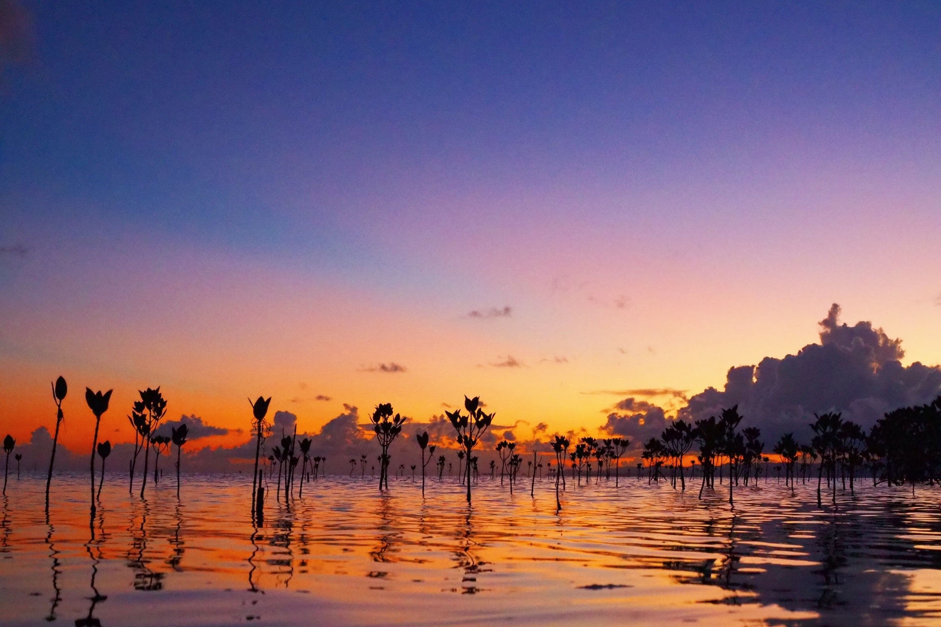 Sunset in Okinawa