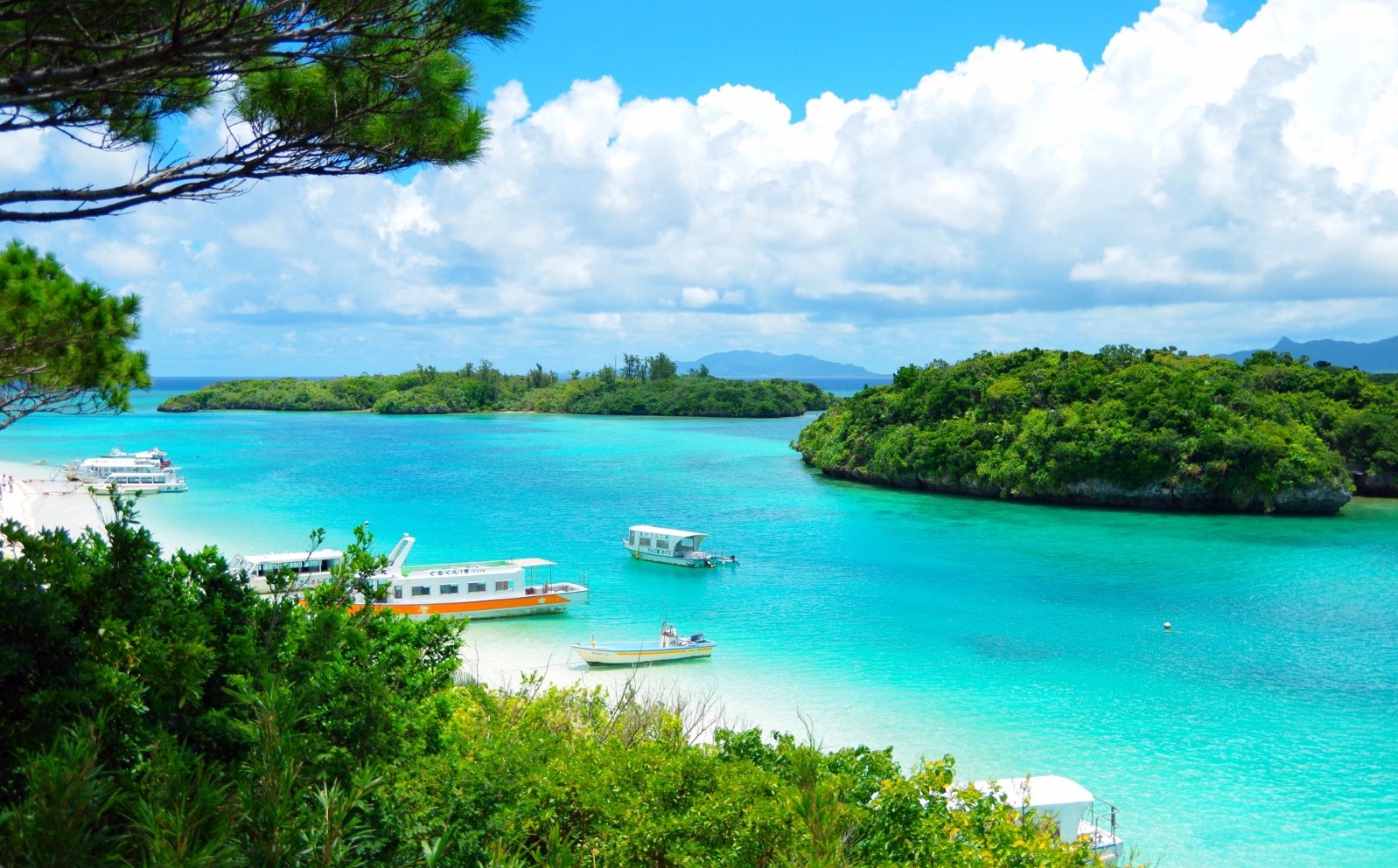 The scenic view of Kabira Bay on Ishigaki Island