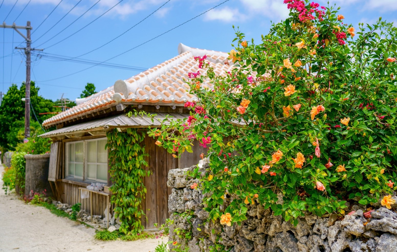 An attractive traditional house in Taketomi Island