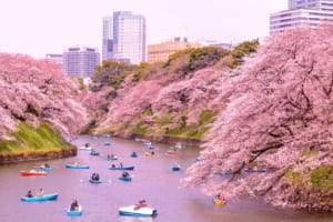 Japan in April