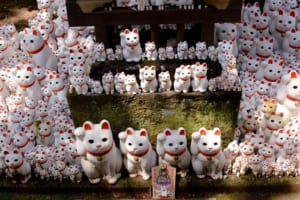 Gotokuji Temple: The Cat Temple in Tokyo