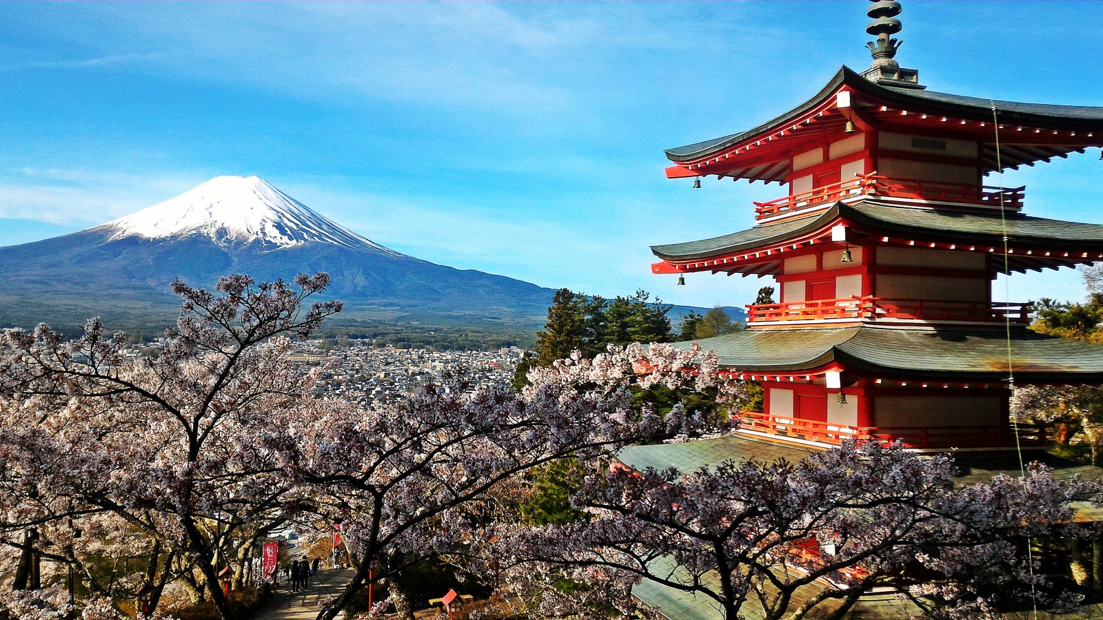 Chureito Pagoda: The Best View Point of Mt Fuji