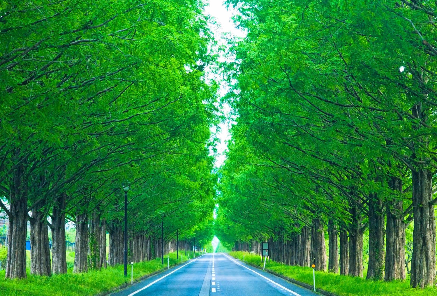 best road trips japan