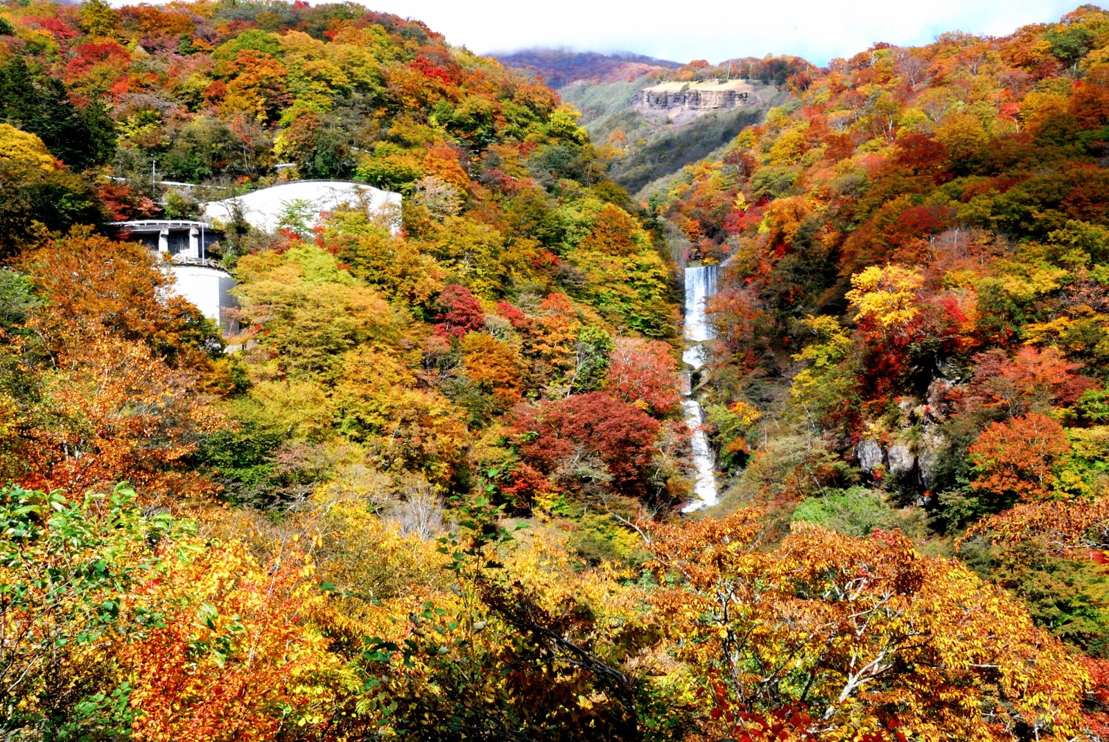 Autumn leaves in Nikko 