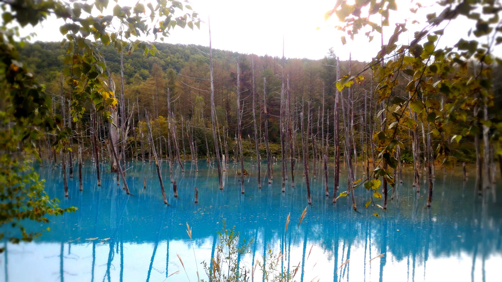 Central Hokkaido: Furano, Biei and Asahidake