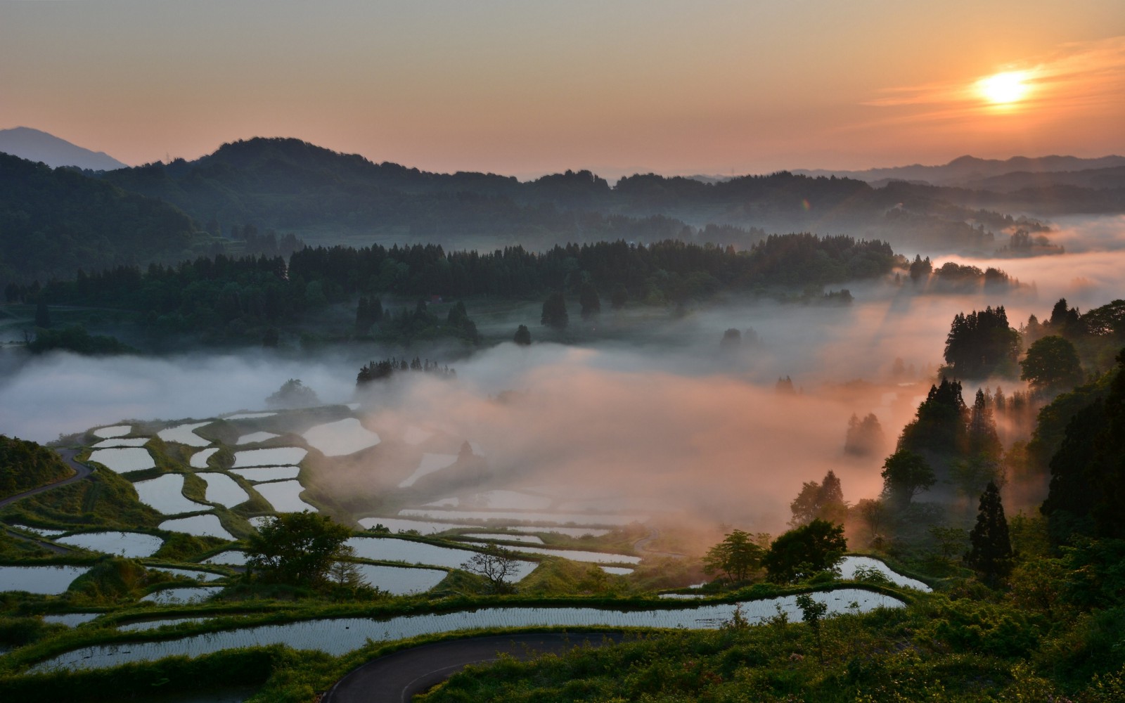 5-most-beautiful-rice-field-terraces-in-japan-japan-web-magazine