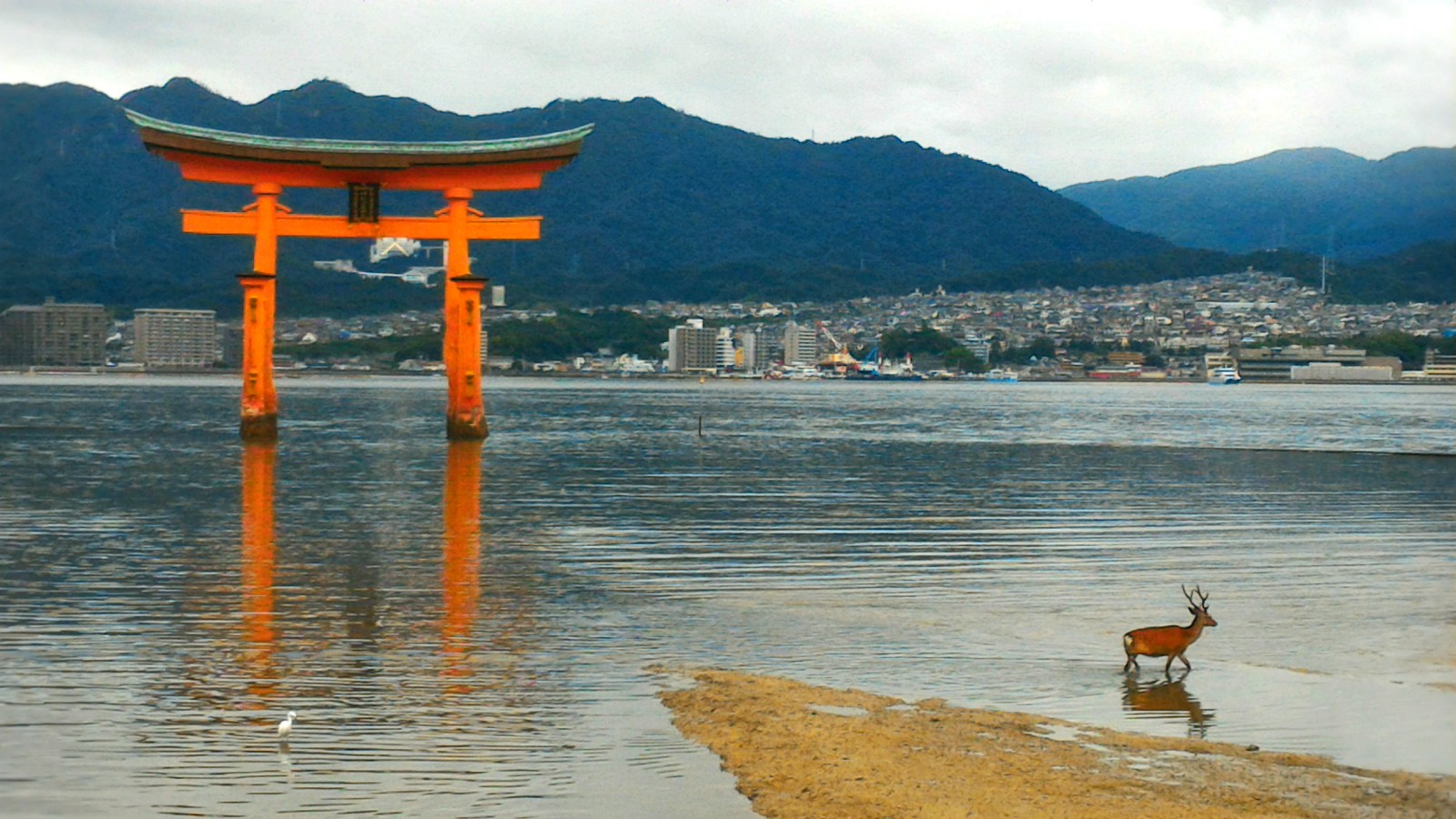 Miyajima Island Hiroshima : Best Things to Do