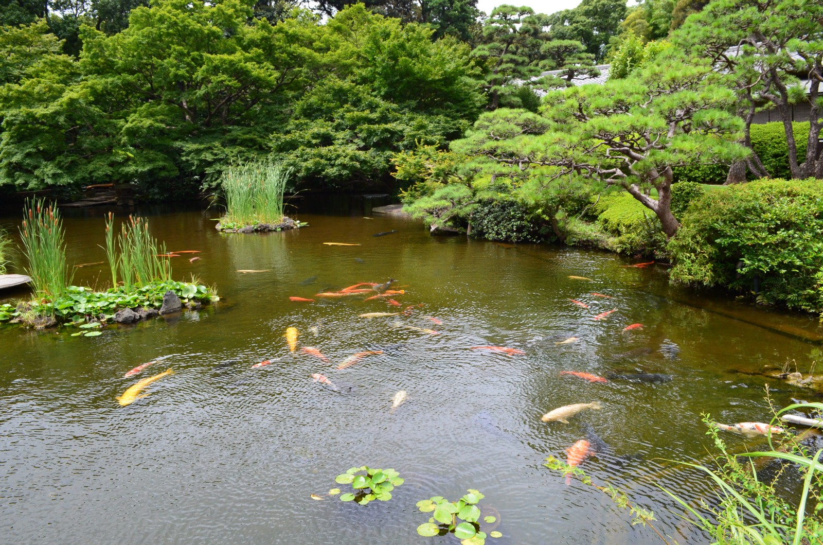 Japanese Garden at Hotel New Otani Tokyo - Japan Web Magazine