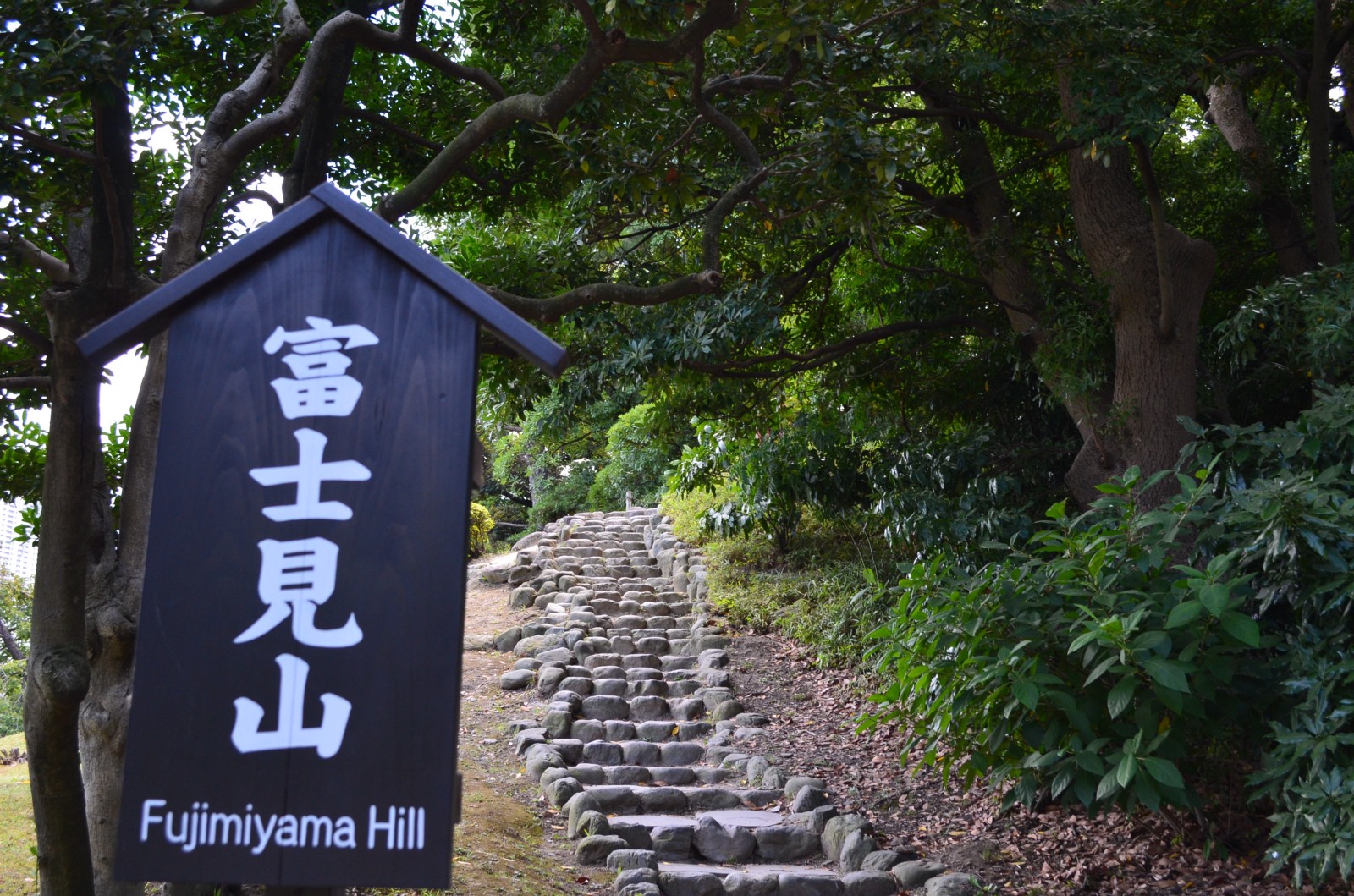 Fujimiyama Hill at Hamarikyu Gardens