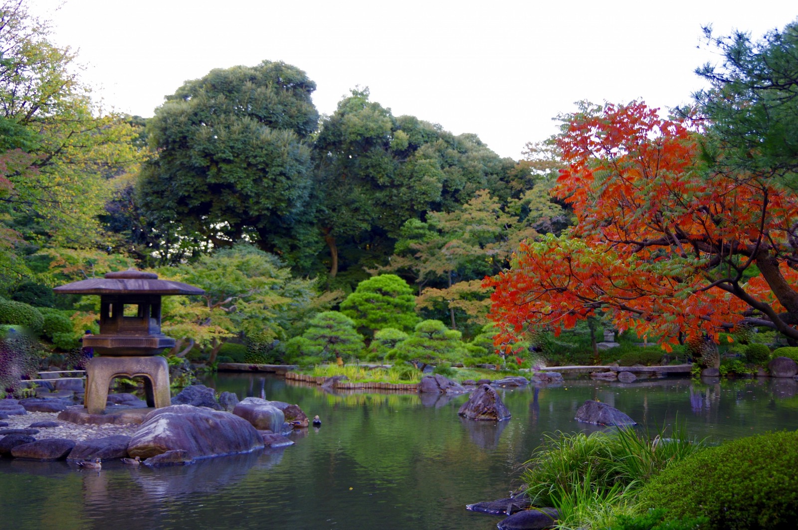 Rikugien Garden: Tokyo’s Best Japanese Garden with Autumn Leaves ...