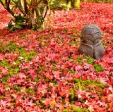 10 Best Things to Do in Japan in Autumn