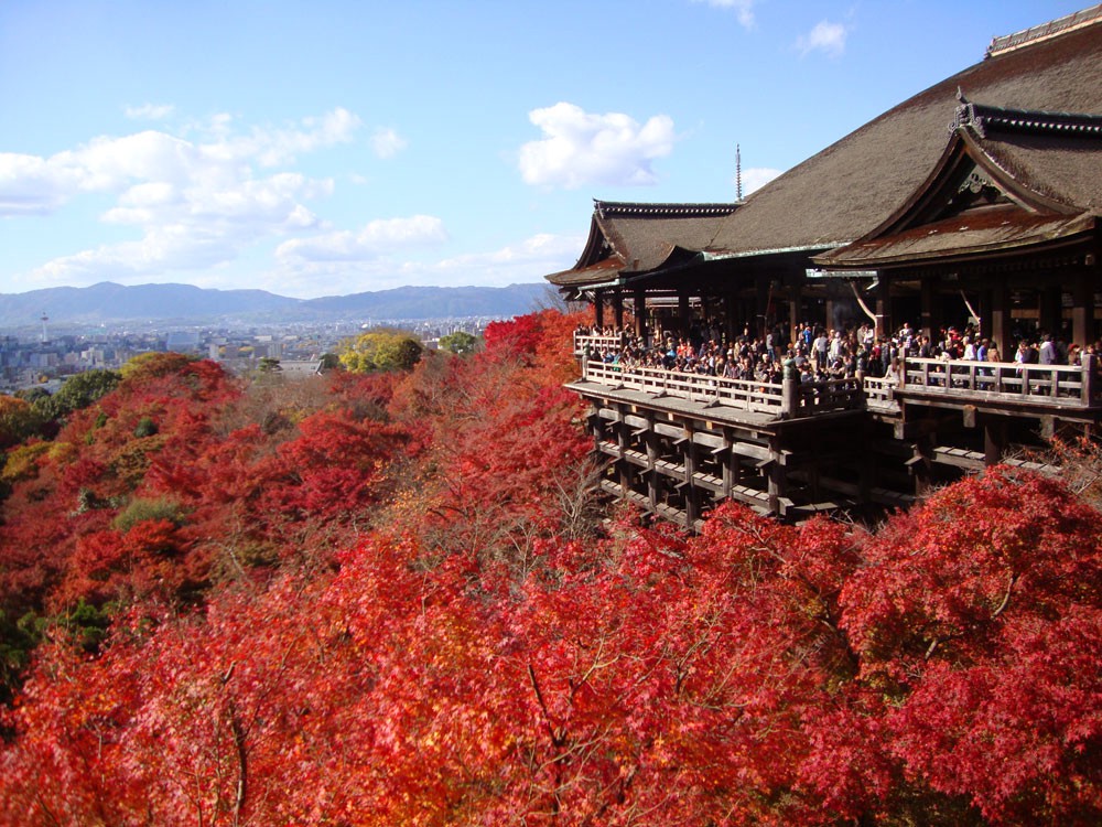 Kyoto Kiyomizudera Temple : When is the Best Time to Visit? - Japan Web