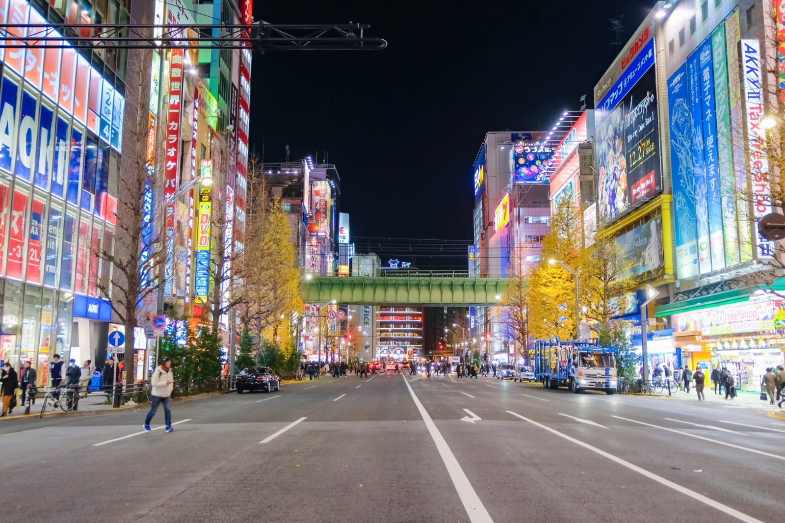 Akihabara Food Guide: What to Eat in Akihabara