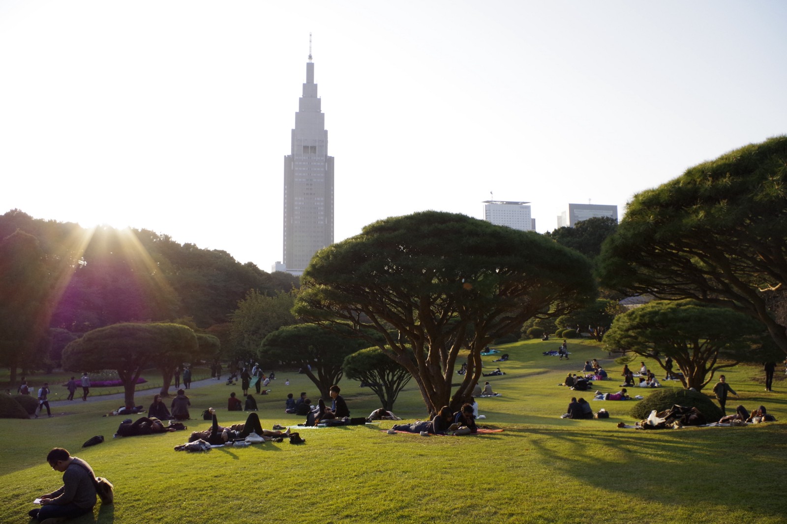 Shinjuku Gyoen The National Garden And Park In Tokyo Japan Web Magazine