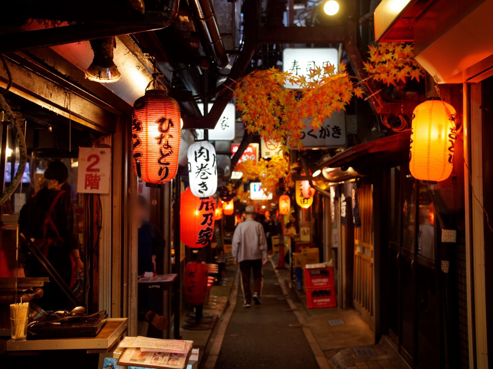 5 Best IZAKAYA Alleys in Tokyo