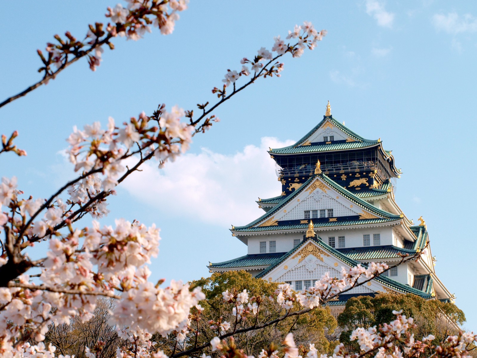 3 Best Places to See Cherry Blossoms in Osaka - Japan Web Magazine