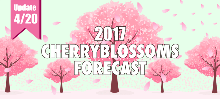 2017 Cherry Blossom Forecast in Japan