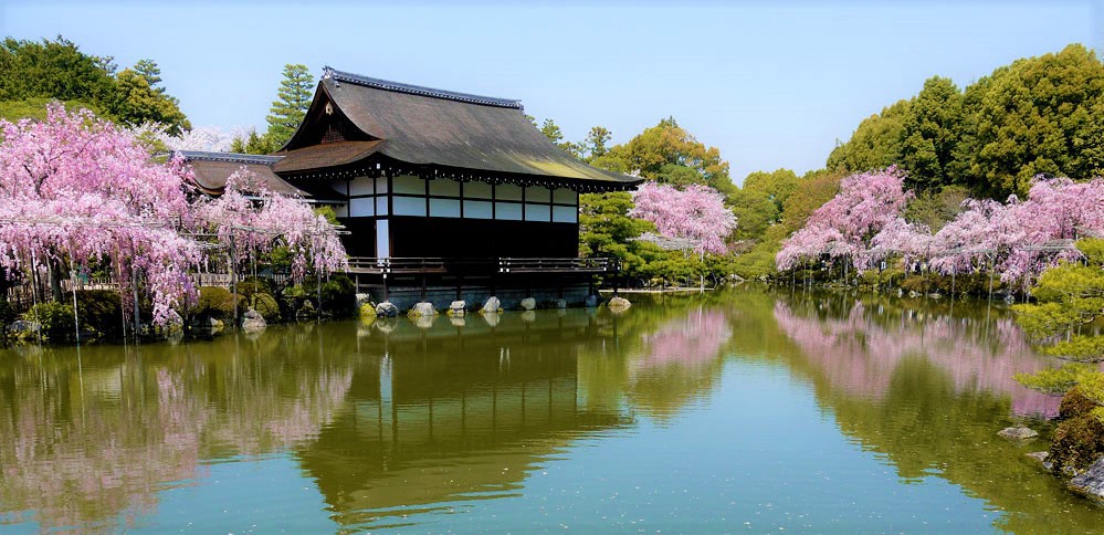 Heian Shrine Kyoto S Best Weeping Cherry Blossom Spot Japan Web Magazine