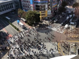 Shibuya Crossing: a Must-Visit Tourist Site in Shibuya