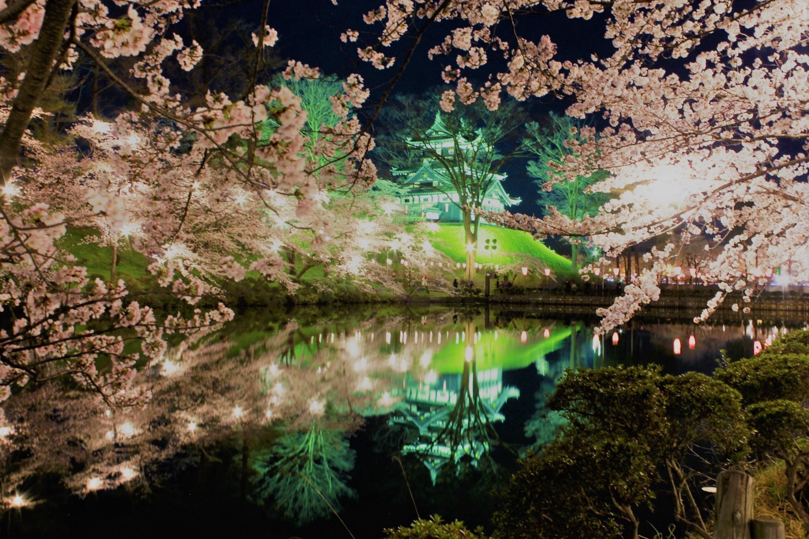 Best Places for Cherry Blossom Night Viewing in Japan - Japan Web Magazine