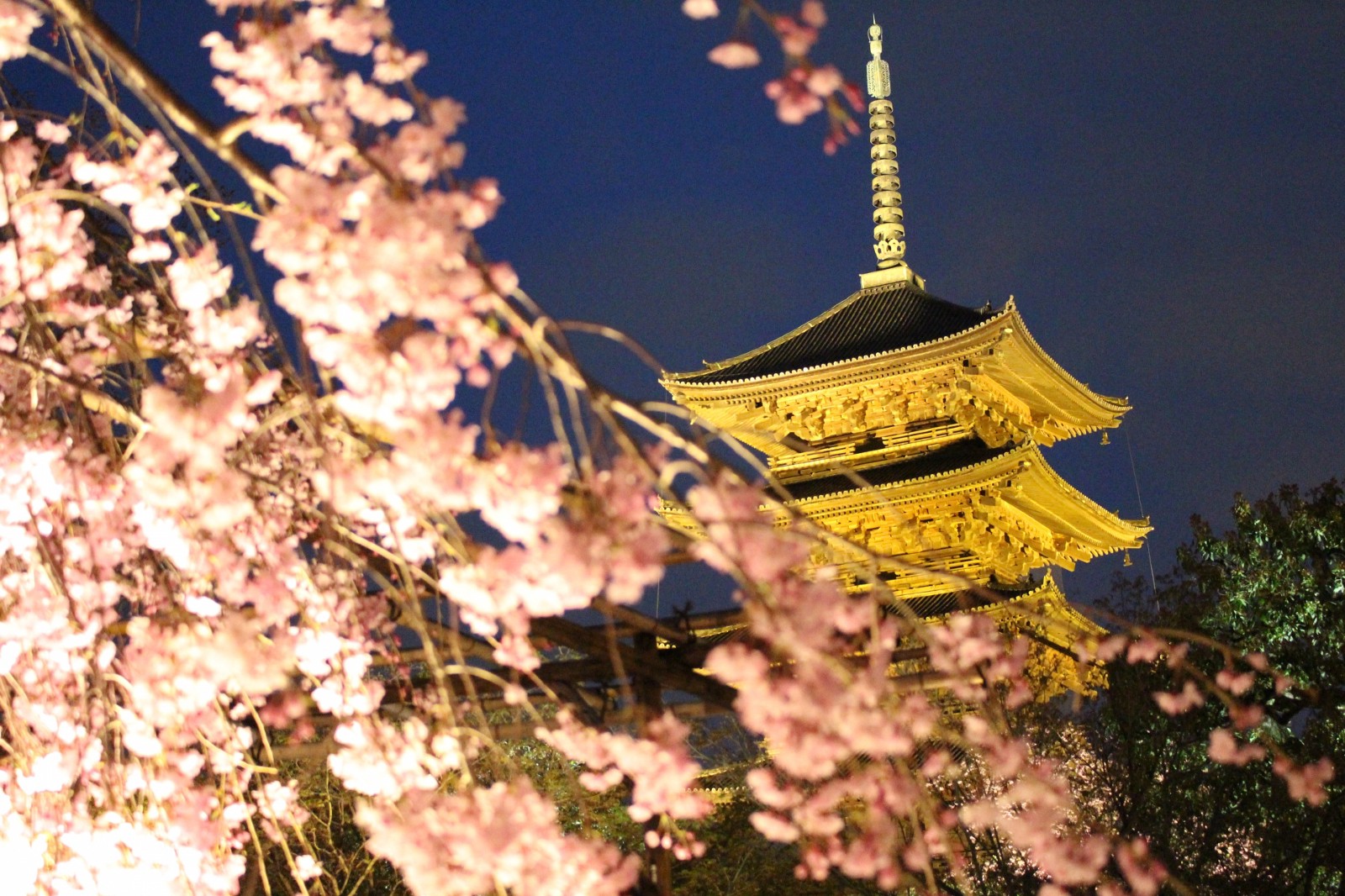 13 Best Places to See Cherry Blossoms in Kyoto