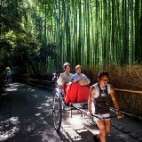 Kyoto Tours and Activities: 15 Best Things to Do