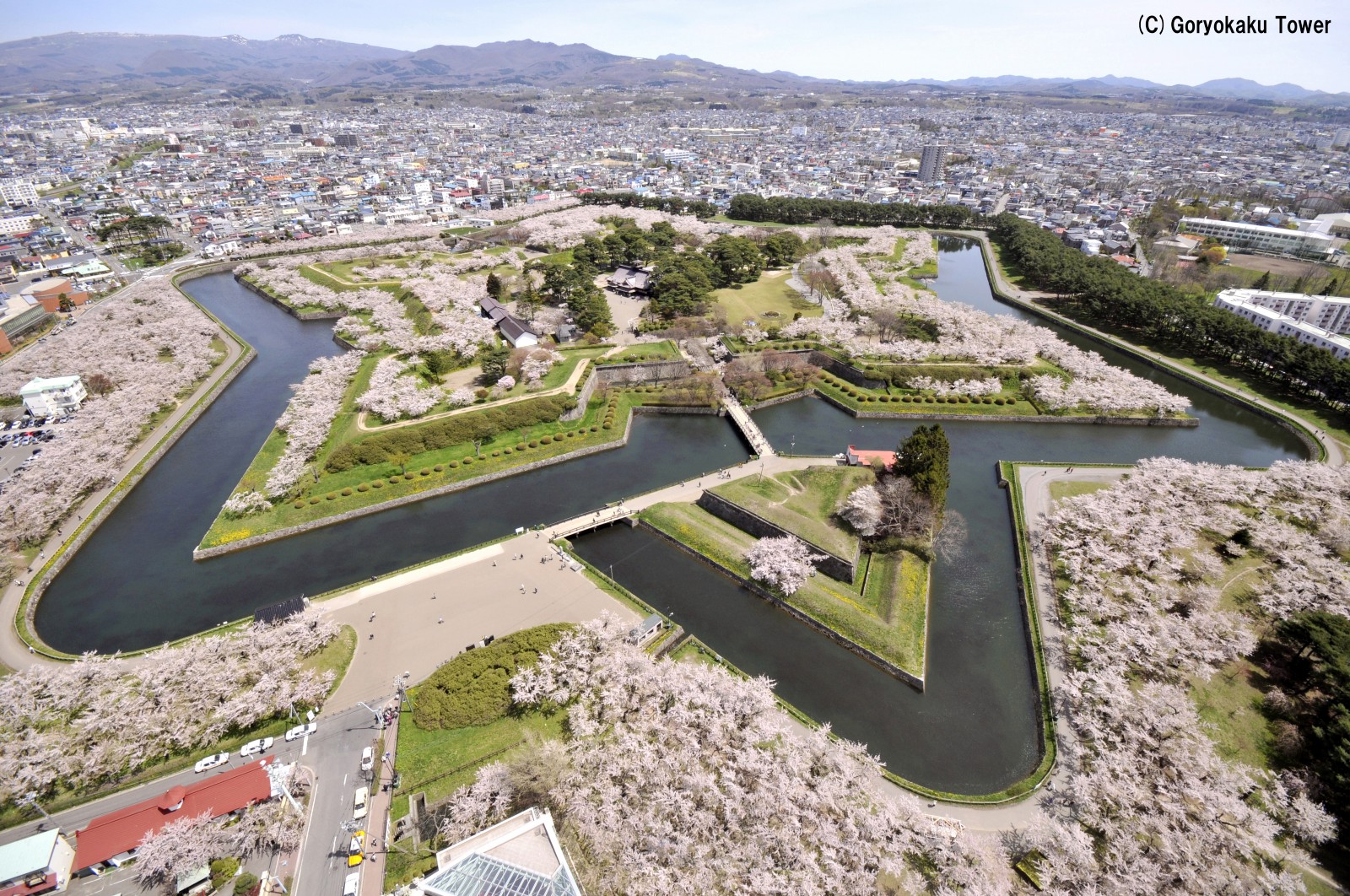 hakodate-fort-goryokaku-cherry-blossoms-japan-web-magazine