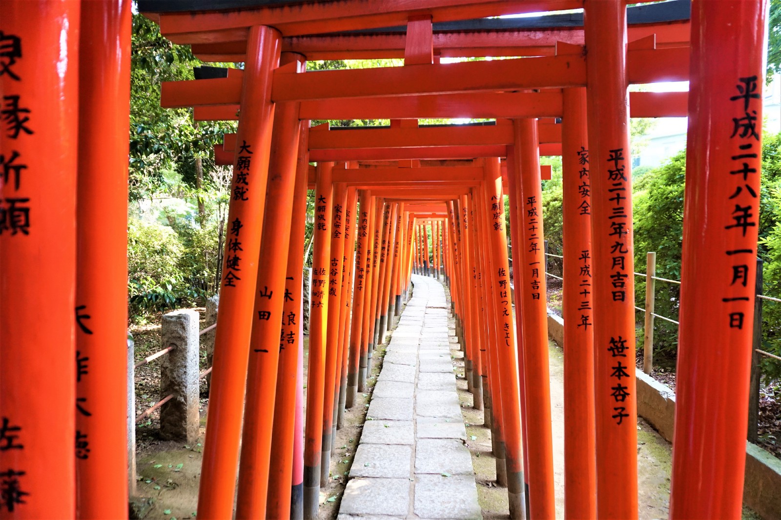 Red torii gates tunnel at Nezu Shrine