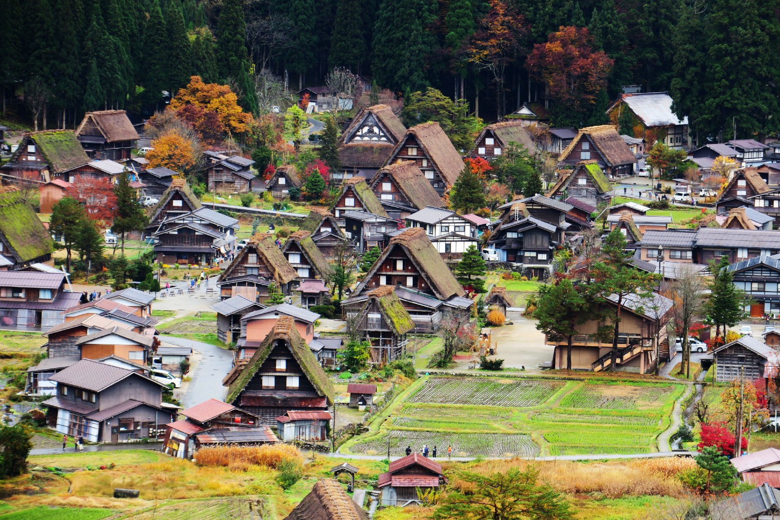 1 Week Itinerary in Japan: CENTRAL JAPAN