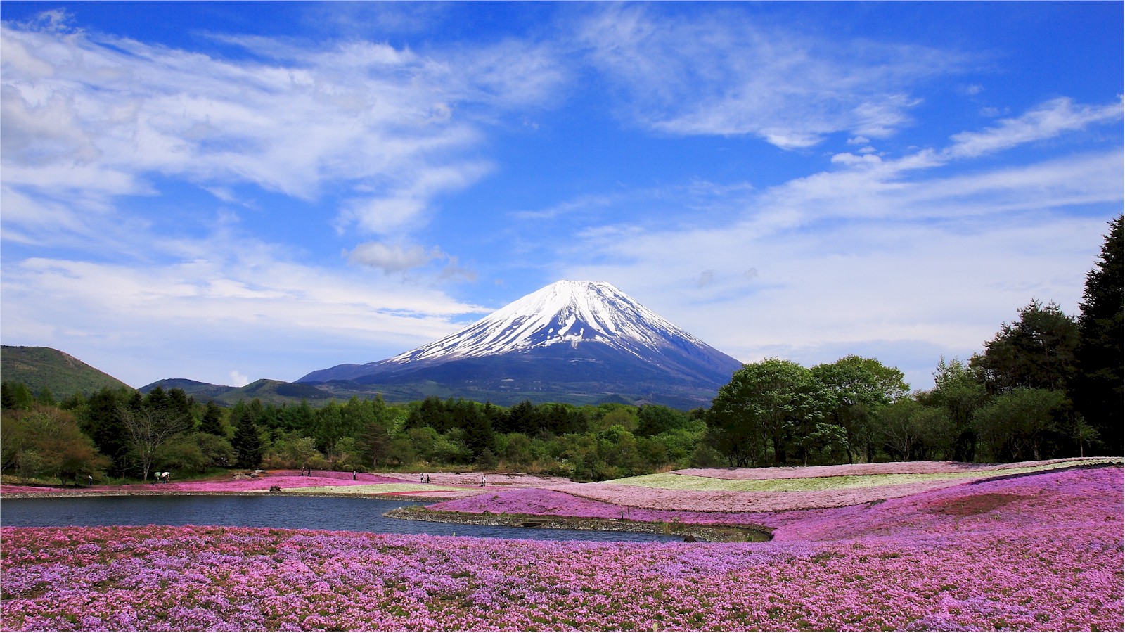 10 Best Things to Do in Yamanashi