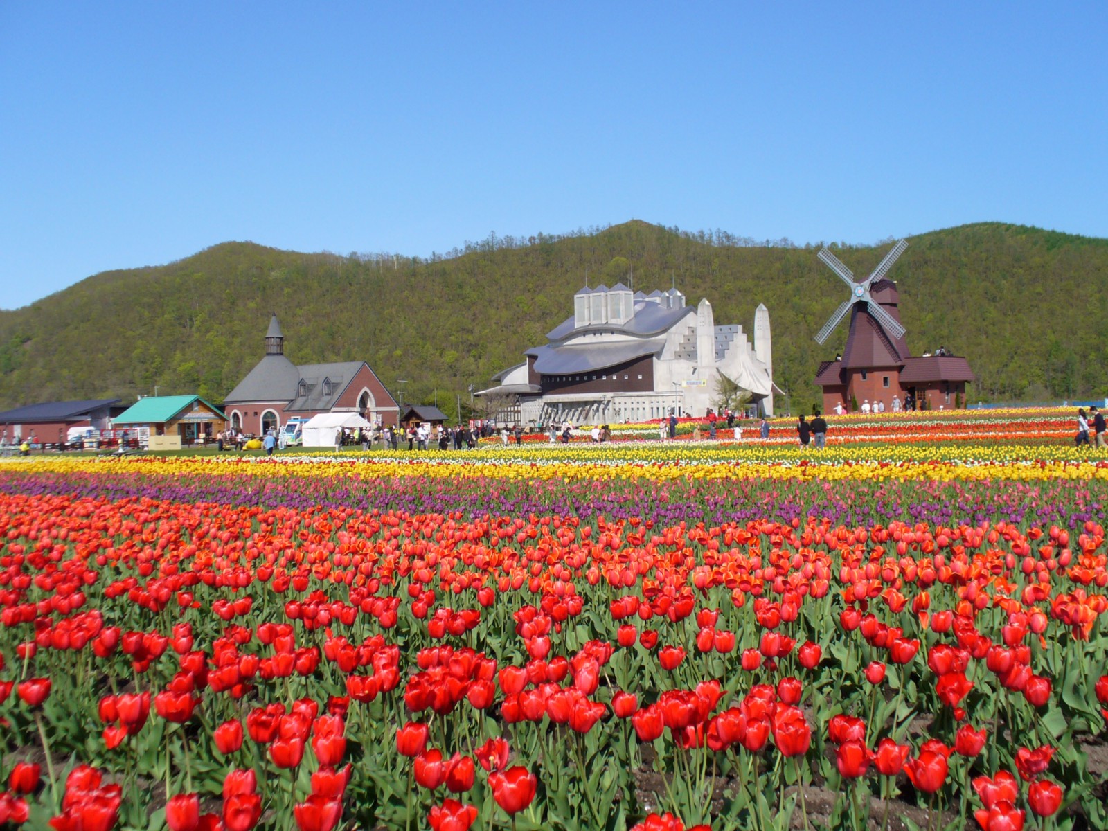 field trips in japan