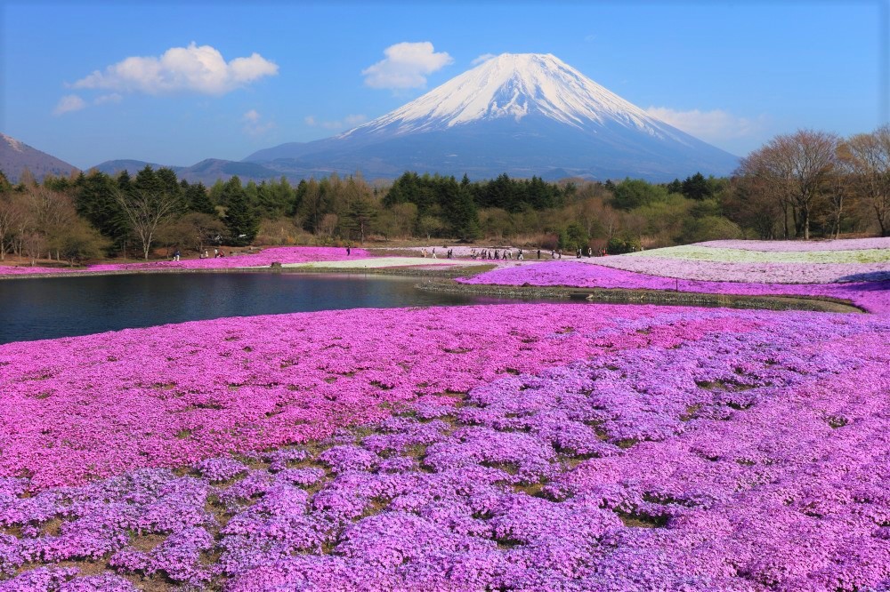 10 Best Places to Visit in Japan in Spring 2022 - Japan Web Magazine