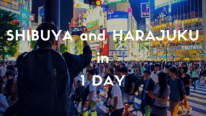 HARAJUKU and SHIBUYA: 1 Day Itinerary in Tokyo