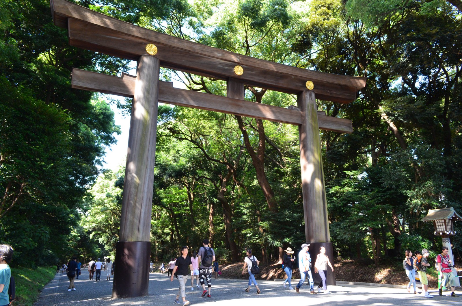 Torii gate at Meiji Jingu