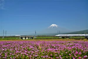 My Secret Spots to Photograph Mt Fuji