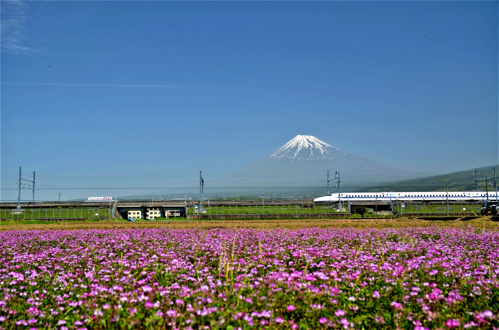 My Secret Spots to Photograph Mt.Fuji!!