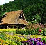 Central Japan: 10 Best Tours and Activities