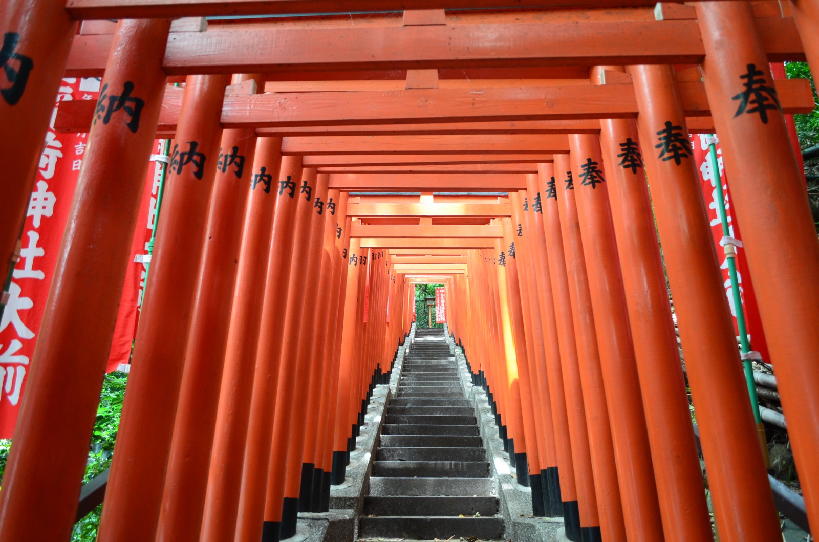 The stairs with red torii gates tunnel at Hie Shrine