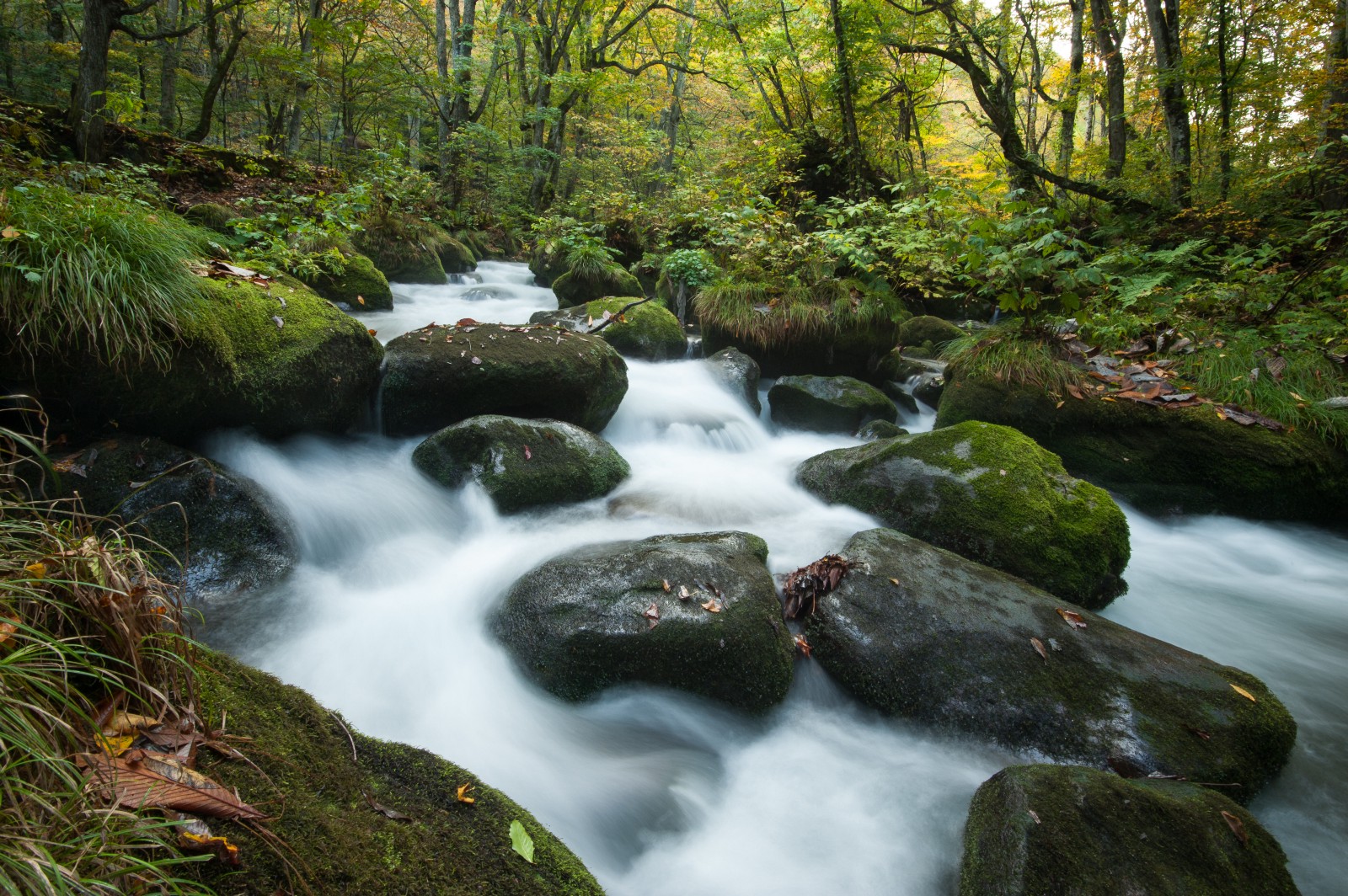 Top 10 Things To Do In Aomori Japan