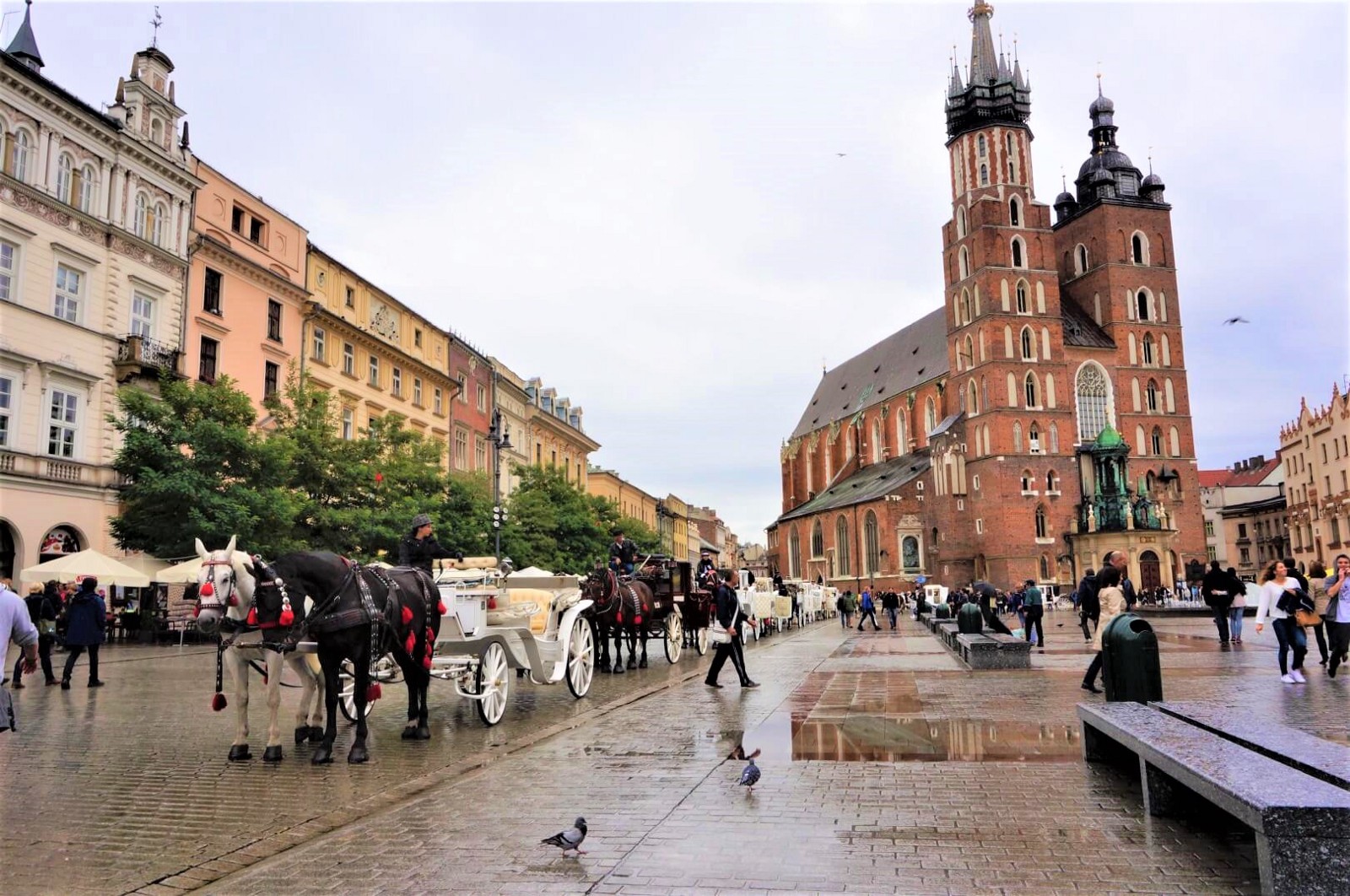 The square at Krakow old town center