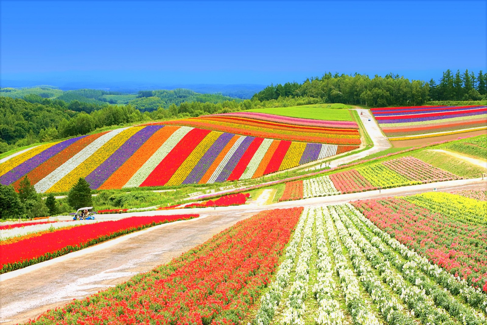 best city to visit in japan during summer