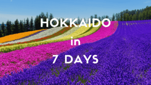1 Week Itinerary in Hokkaido in Summer