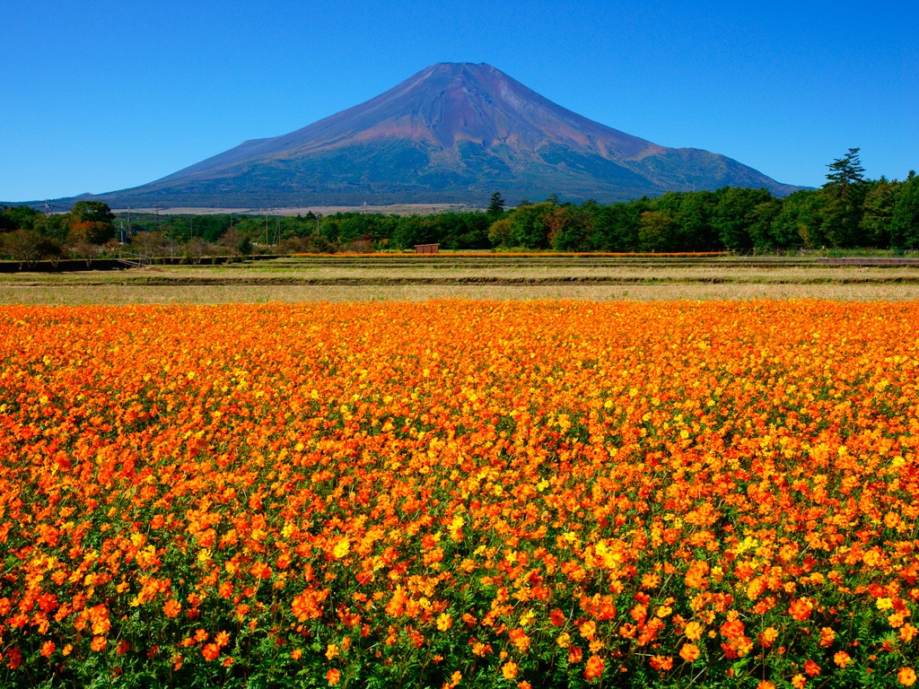 japan tourism september 7